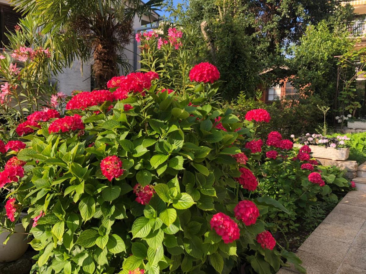 Casa Hortensia Njivice Exterior foto